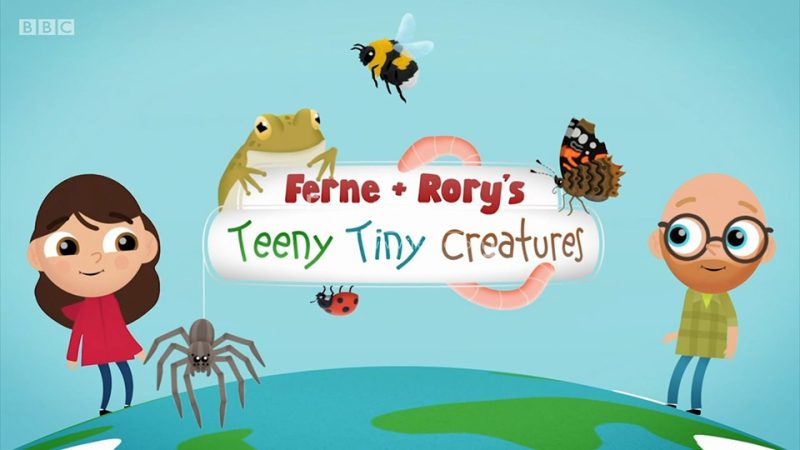 BBC儿童英语科普真人动画《Teeny Tiny Creatures》全1-3季共40集，1080P高清视频带英文字幕，百度网盘下载！