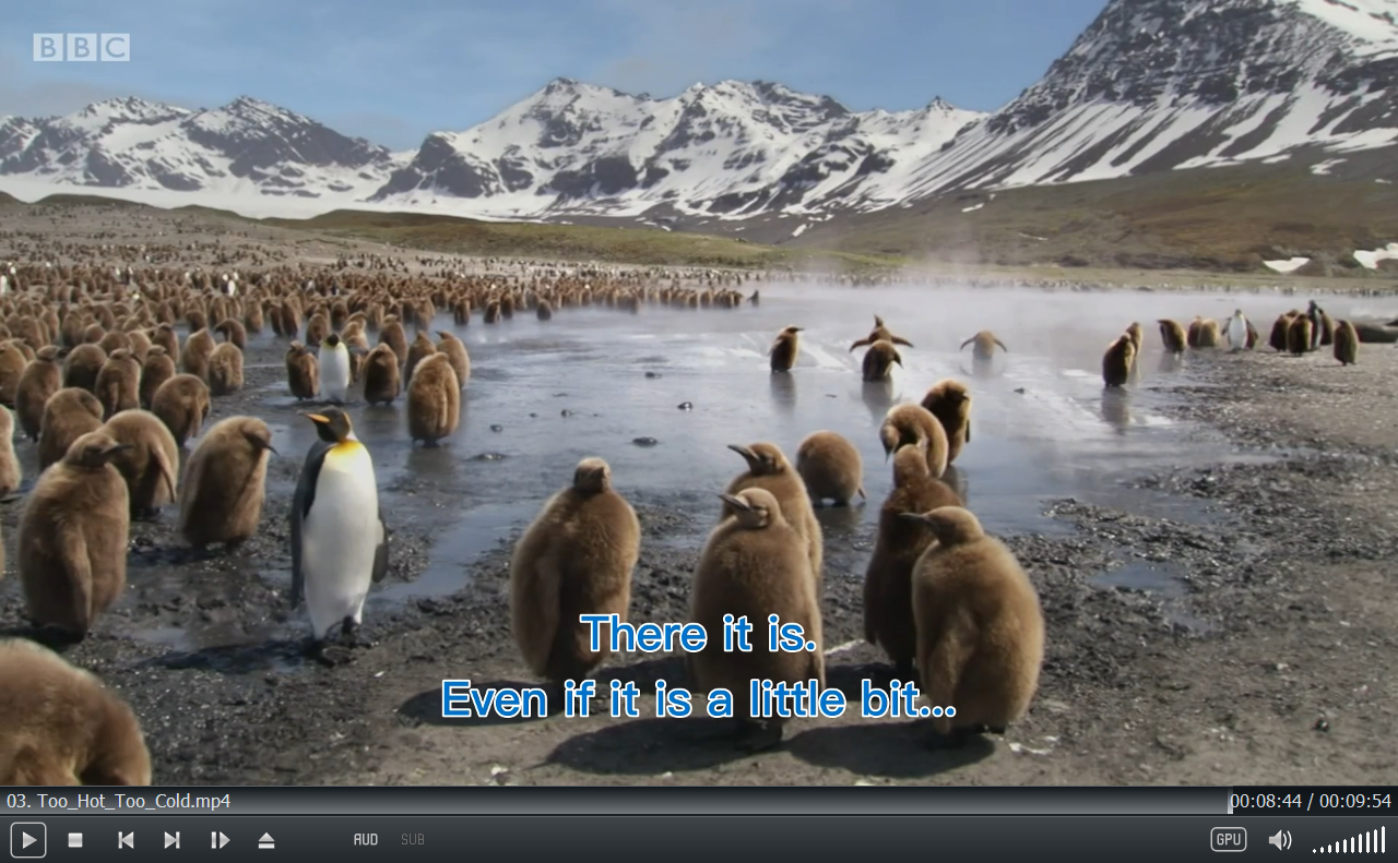 Andy's Baby Animals 图片21