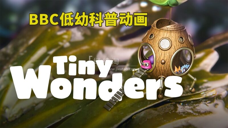 BBC英文科普动画片《Tiny Wonders 小奇迹》全五季共51集，教你学会观察、探索自然界小奇观！1080P高清视频带英文字幕，百度网盘下载！