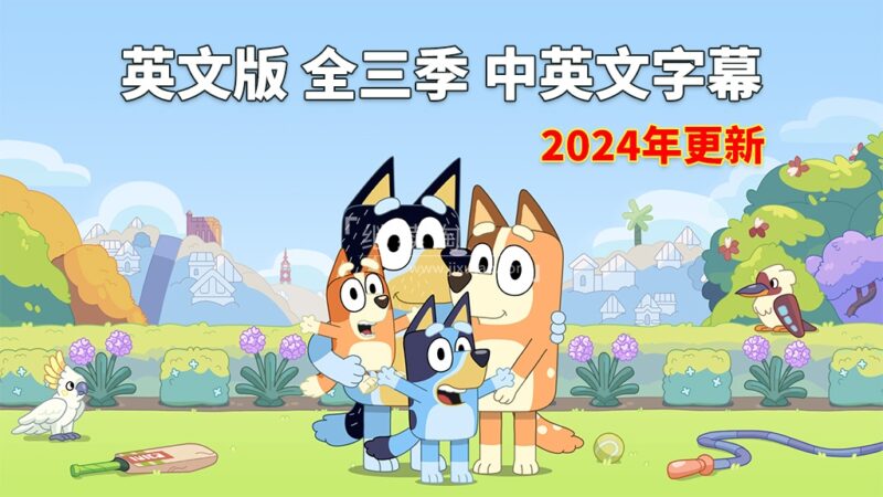 中英文字幕《Bluey 布鲁伊一家 全集》全3季共154集，1080P高清视频英语动画片，送配套音频MP3，百度网盘下载！