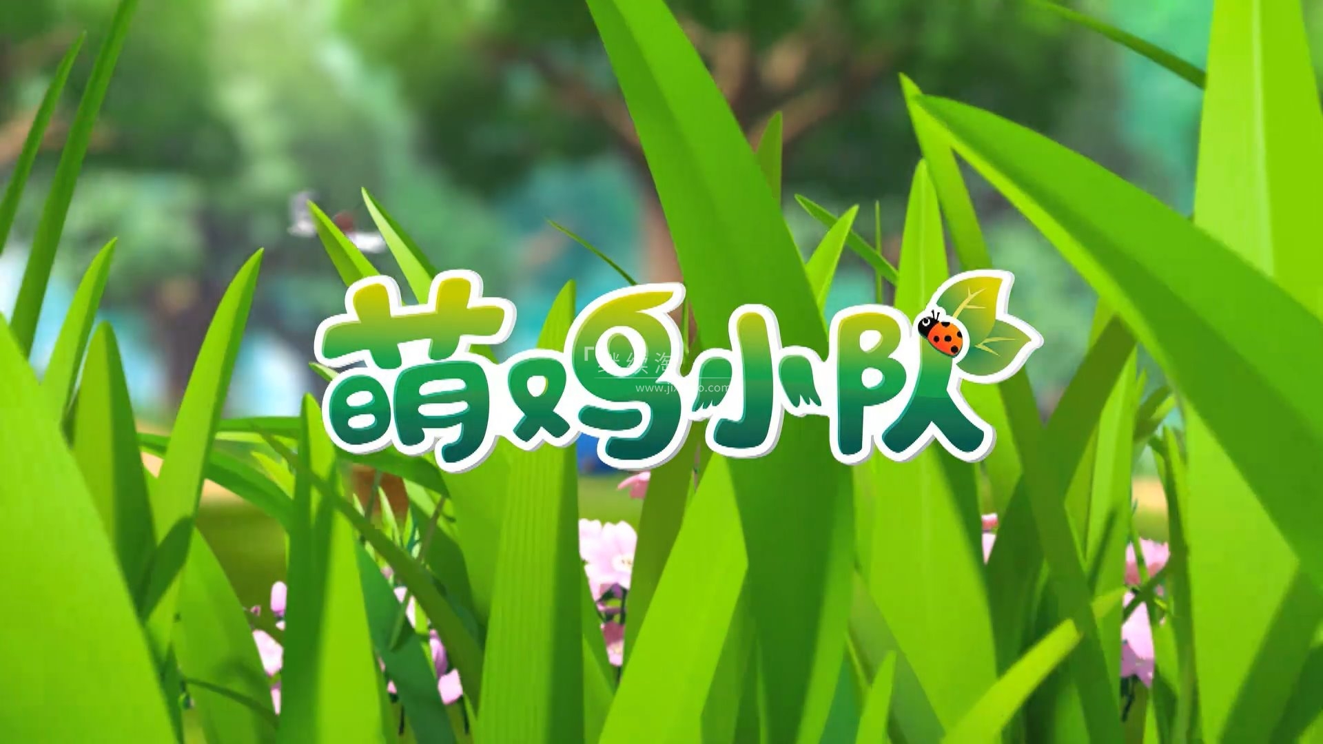 萌鸡小队 图片1