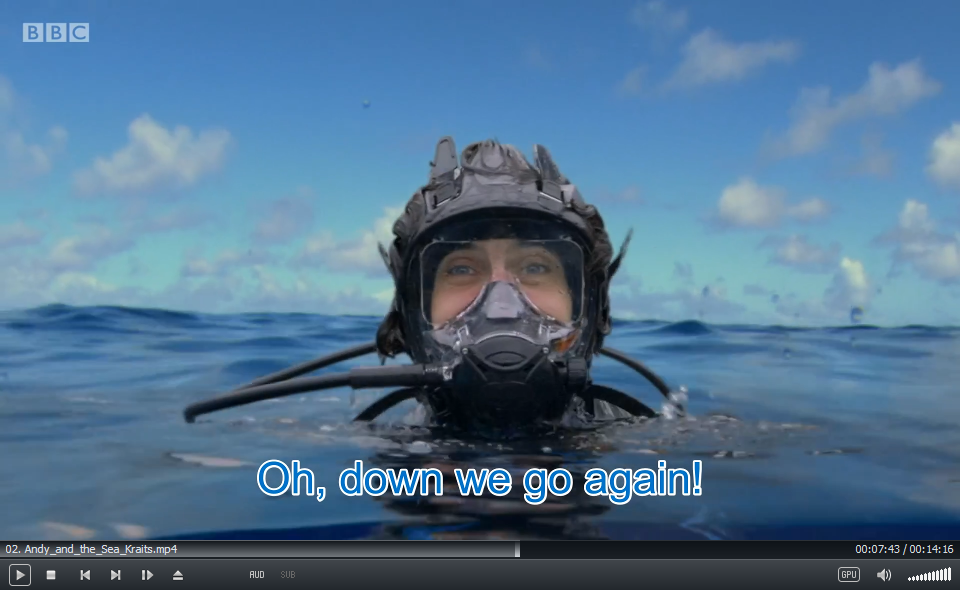 Andy's Aquatic Adventures 安迪 图片25