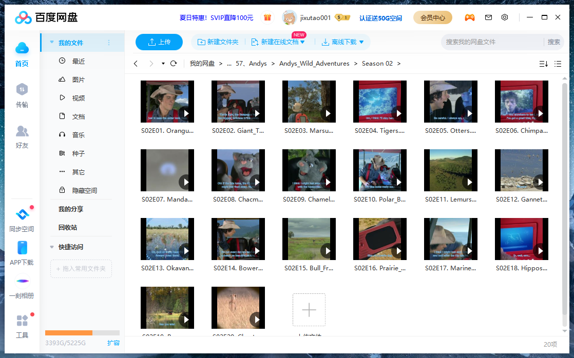 Andy's Wild Adventures 图片31